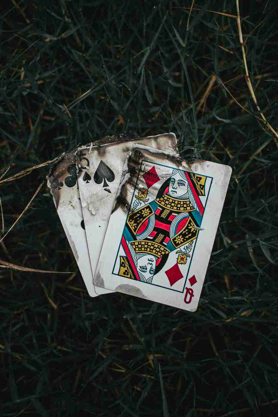 gofish casino mobile